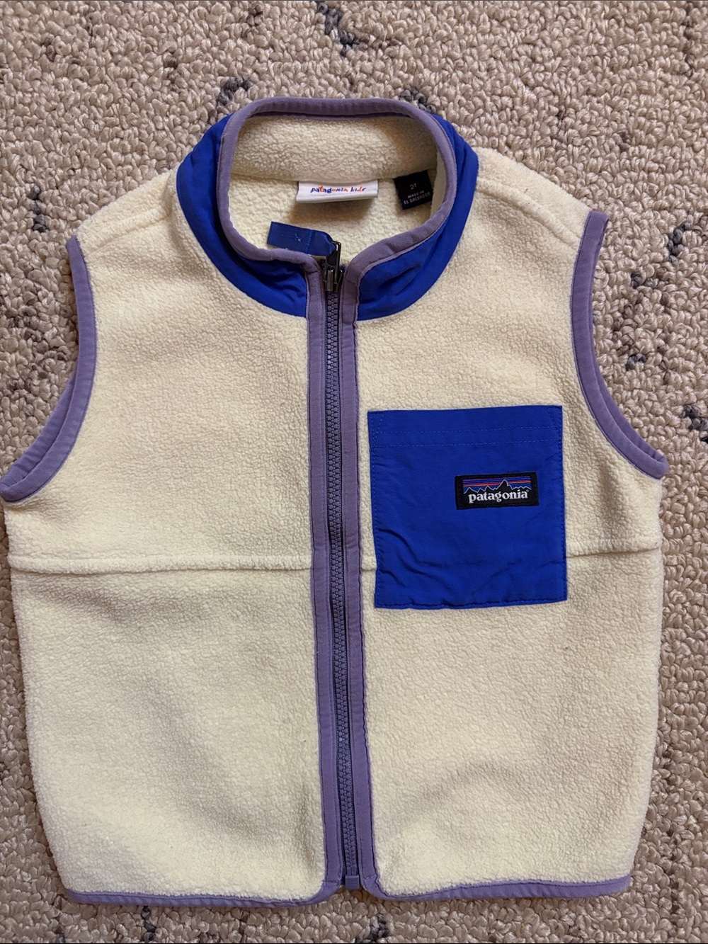 Patagonia  kids Fleece Vest (2T) NWOT